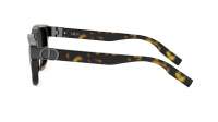 DIOR Icon CD ICON S1I 20A4 54-19 Tartaruga