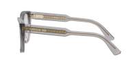 DIOR DIORPRISMEO B1I 4500 52-19 Siva
