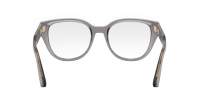 DIOR DIORPRISMEO B1I 4500 52-19 Grigio