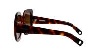JACQUEMUS Carre rond JAC10C2SUN 56-16 Tartaruga
