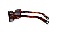 JACQUEMUS Spiaggia JAC41C2SUN 60-12 Tartaruga