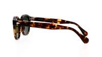 Moscot Lemtosh LEMTOSH SUN 49 CLASSIC HAVANA Écaille