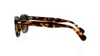 Moscot Lemtosh LEMTOSH SUN 46 CLASSIC HAVANA Tartaruga