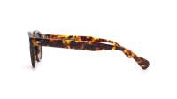 Moscot LEMTOSH SUN 52 TORTOISE G15 Tartaruga