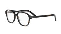DIOR Icon CD ICONO N1I 2000 54-15 Tartaruga