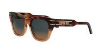 DIOR Signature DIORSIGNATURE B4I 25F2 52-19 Tartaruga