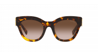 Miu Miu Glimpse MU 01YS VAU6S1 51-22 Honey Havana