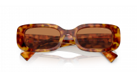 Miu Miu Glimpse MU 08YS 4BW2Z1 51-21 Havana