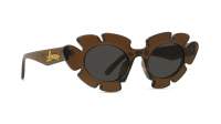 Loewe LW40088U 47A 47-20 Marrone