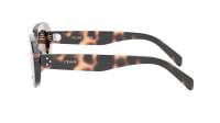 CELINE 3 dots CL40276U 53E 54-20 Tartaruga