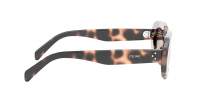 CELINE 3 dots CL40276U 53E 54-20 Tartaruga