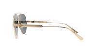 DIOR DIORCANNAGE A1U B0C0 61-11 Oro