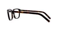DIOR Icon CD ICONO S3I 2000 54-19 Tartaruga