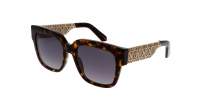 DIOR DIORESILLE S1I 20A1 54-19 Tartaruga