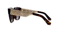 DIOR DIORESILLE S1I 20A1 54-19 Tartaruga