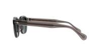 Moscot Lemtosh LEMTOSH SUN 46 GREY G15 Grigio