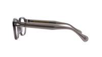 Moscot Lemtosh LEMTOSH 46 GREY Siva