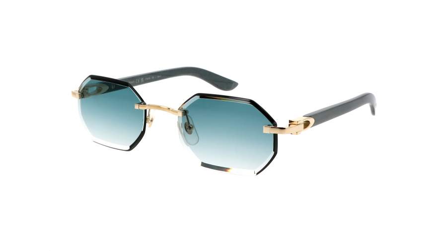 Sunglasses Cartier Exception CT0439S 004 54-19 Gold in stock