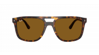 Ray-Ban RB2213 902/33 55-20 Havana