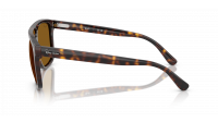 Ray-Ban RB2213 902/33 58-20 Havana