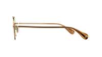 Garrett Leight Van buren ii 4066 G-SAPT/FPGN 49-20 Oro