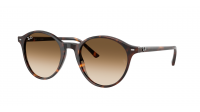 Ray-Ban Bernard RB2230 902/51 51-21 Écaille