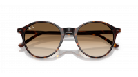 Ray-Ban Bernard RB2230 902/51 51-21 Tortoise
