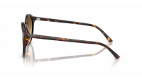 Ray-Ban Bernard RB2230 902/51 51-21 Écaille