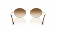 Ray-Ban Oval RB3547 001/51 51-21 Arista
