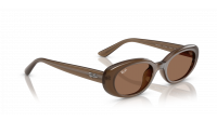 Ray-Ban RB4441D 6779/73 53-21 Opal Brown
