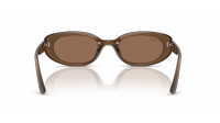 Ray-Ban RB4441D 6779/73 53-21 Opal Brown