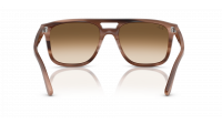 Ray-Ban RB2213 1423/51 55-20 Havana Brown
