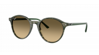 Ray-Ban Bernard RB2230 1421/0A 51-21 Transparent shade fantasy green