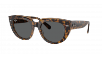 Ray-Ban Doreen RB2286 1292/B1 52-20 Havana on transparent Brown
