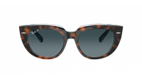 Ray-Ban Doreen RB2286 1413/S3 52-20 Dark Havana On Transp Multicolor