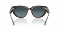 Ray-Ban Doreen RB2286 1413/S3 52-20 Dark Havana On Transp Multicolor