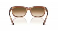 Ray-Ban Balorette RB2389 1403/51 60-19 Striped Brown