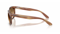 Ray-Ban Balorette RB2389 1403/51 60-19 Striped Brown