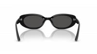 Ray-Ban RB4441D 6677/87 53-21 Crna