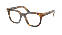 Miu Miu MU 06XV VAU1O1 49-20 Honey Havana