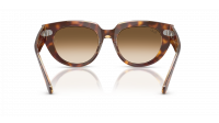 Ray-Ban Doreen RB2286 1414/51 52-20 Light havana