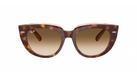 Ray-Ban Doreen RB2286 1414/51 52-20 Light havana