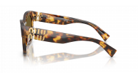 Miu Miu Glimpse MU 01YS 14L09Z 51-22   Honey Havana
