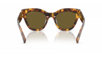 Miu Miu Glimpse MU 01YS 14L09Z 51-22   Honey Havana