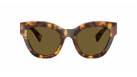 Miu Miu Glimpse MU 01YS 14L09Z 51-22   Honey Havana
