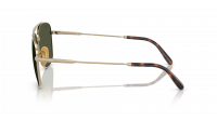 Ray-Ban William titanium RB8097 9265/31 59-17 Oro