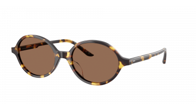 Sonnenbrille Oliver peoples 2000c Khaite OV5574SU 140773 54-19 Vinage DTB auf Lager