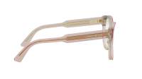 DIOR DIORPRISMEO S4I 4000 54-19 Ružičasta