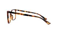 Gucci Gg logo GG0025O 014 56-14 Havana