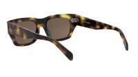 CELINE 3 dots hd CL40297U 53E 53-18 Havana